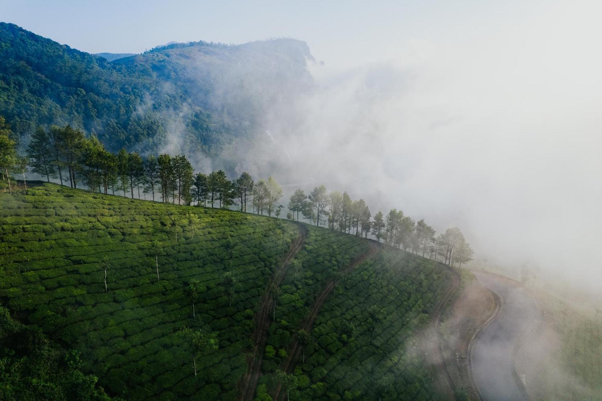 Misty Courtyard Resort Chinnakanal 外观 照片
